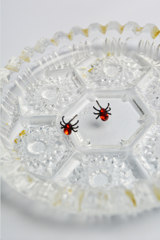 Red Itsy Bitsy Spider stud earrings with faceted crystal accents displayed on a vintage glass tray.
