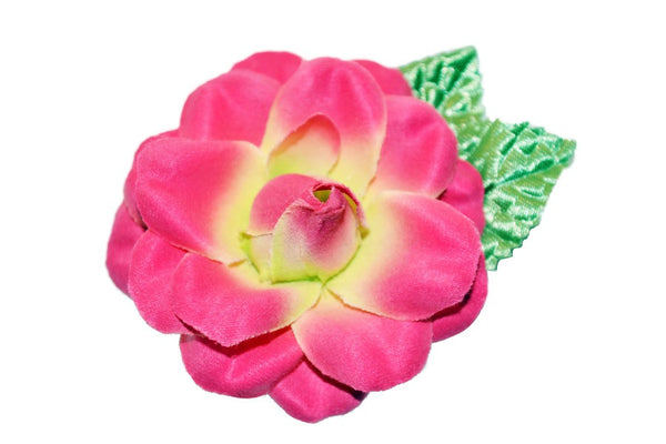 Close-up of hot pink Rosita hair flower with green leaves and soft textured petals.